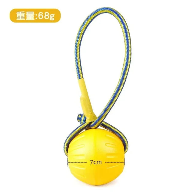Palla, Frisbee, Anelli, giocattoli per cani resistente al morso.