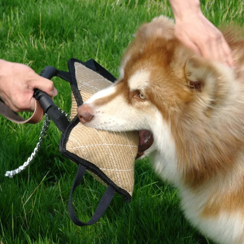Set di Addestramento per Cani: Salamotto, Manicotto e Cuneo