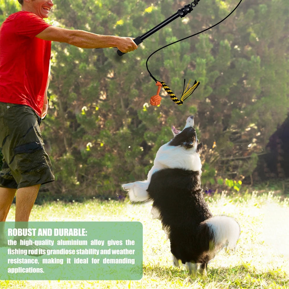 Estensibile Flirt Pole giocattoli interattivi per cani e per esercizi di allenamento all'aperto