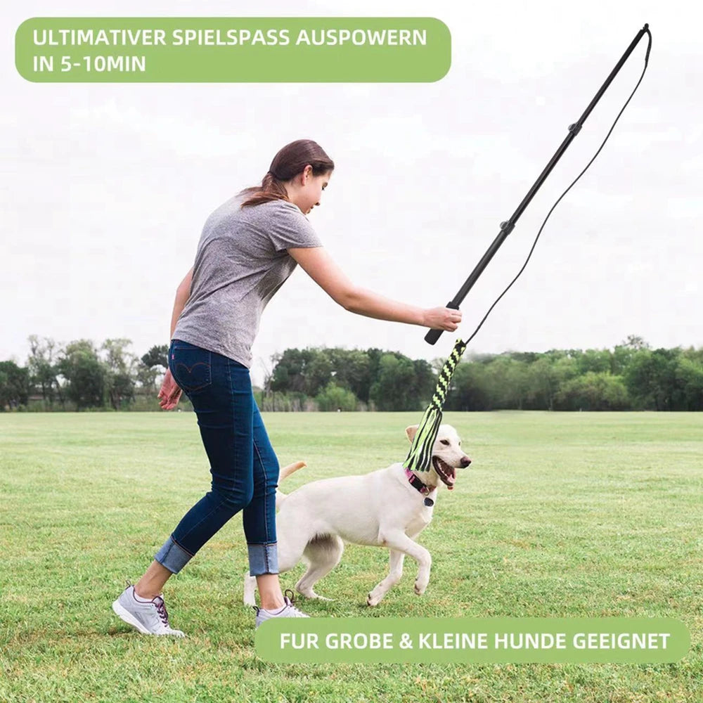 Estensibile Flirt Pole giocattoli interattivi per cani e per esercizi di allenamento all'aperto