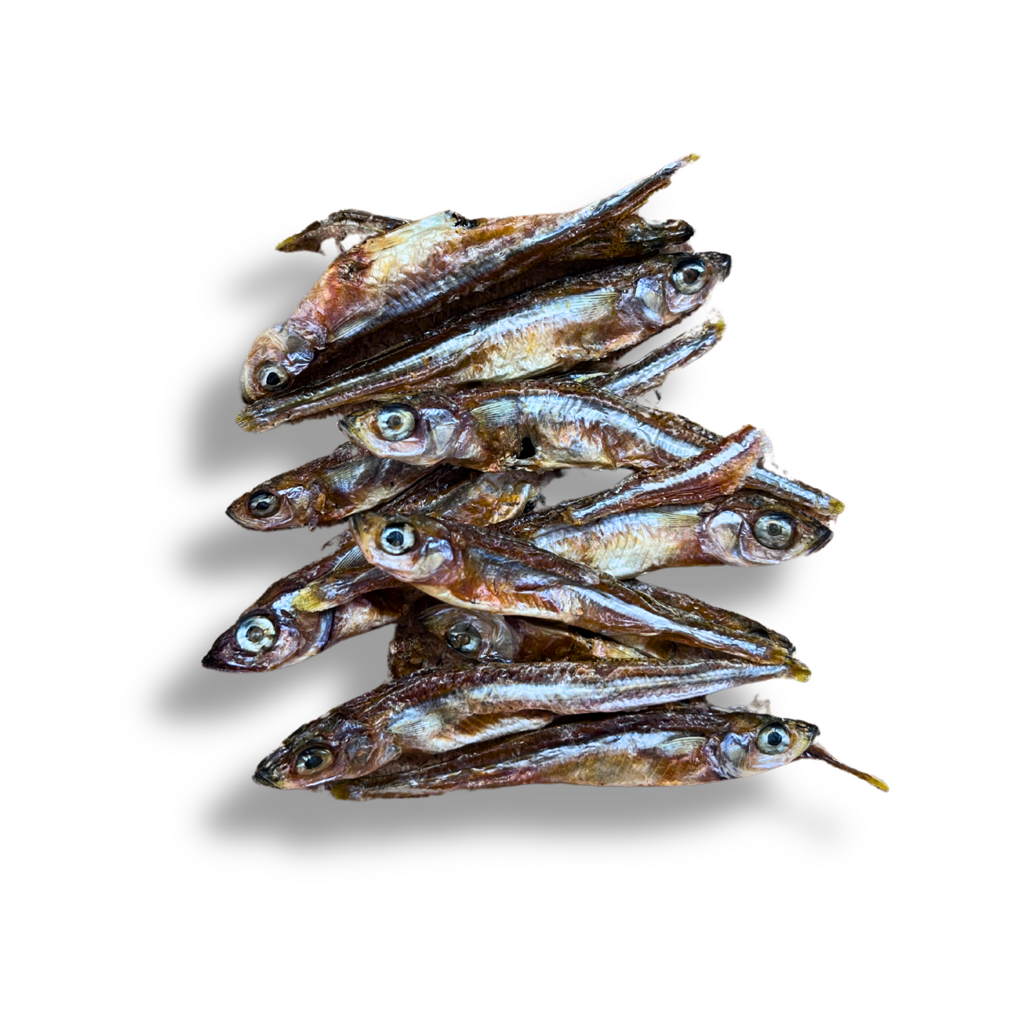 Latterini Essiccati per Cani e Gatti | Snack Naturale Ricco di Omega-3 e Calcio 55g