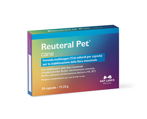 Reuteral Pet Cane - Integratore Probiotico Intestinale con 13,6 Miliardi di Fermenti - 30 Capsule NBF Lanes
