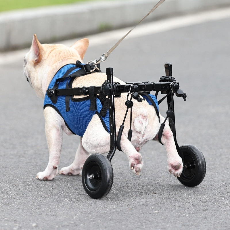 Carrello Ortopedico per Cani Disabili - Sedia a Rotelle Regolabile per Zampe Posteriori