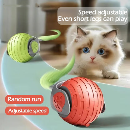 giocattoli interattivi per gatti, palline automatiche