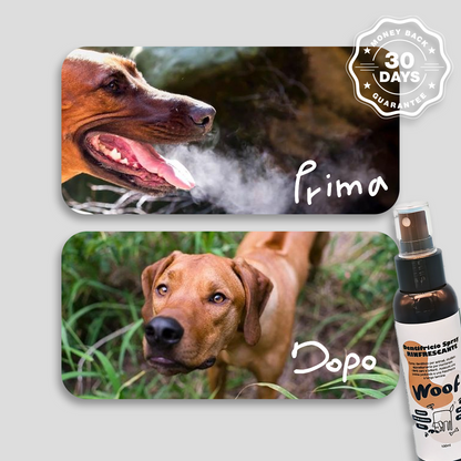 Dentifricio Spray WoofCare Rinfrescante - Igiene Orale Facile Senza Spazzolino per Cane e Gatto