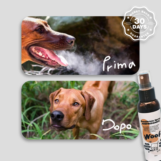 Dentifricio Spray WoofCare Rinfrescante - Igiene Orale Facile Senza Spazzolino per Cane e Gatto