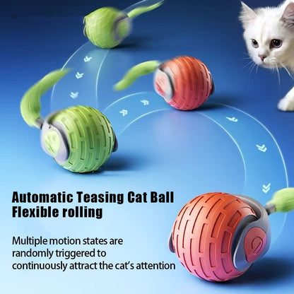 giocattoli interattivi per gatti, palline automatiche