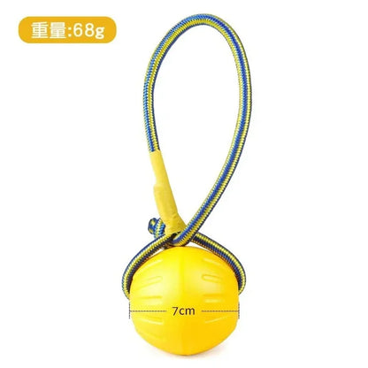 Palla, Frisbee, Anelli, giocattoli per cani resistente al morso.