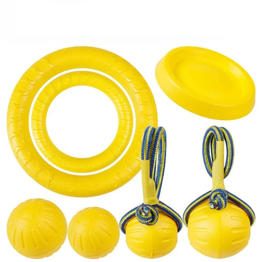 Palla, Frisbee, Anelli, giocattoli per cani resistente al morso.