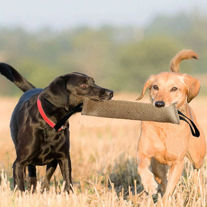 Set di Addestramento per Cani: Salamotto, Manicotto e Cuneo