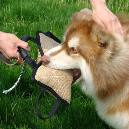 Set di Addestramento per Cani: Salamotto, Manicotto e Cuneo