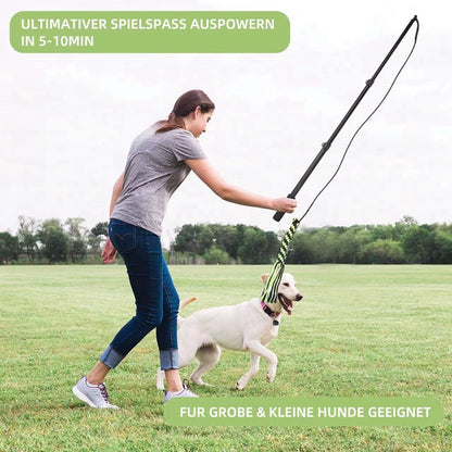 Estensibile Flirt Pole giocattoli interattivi per cani e per esercizi di allenamento all'aperto
