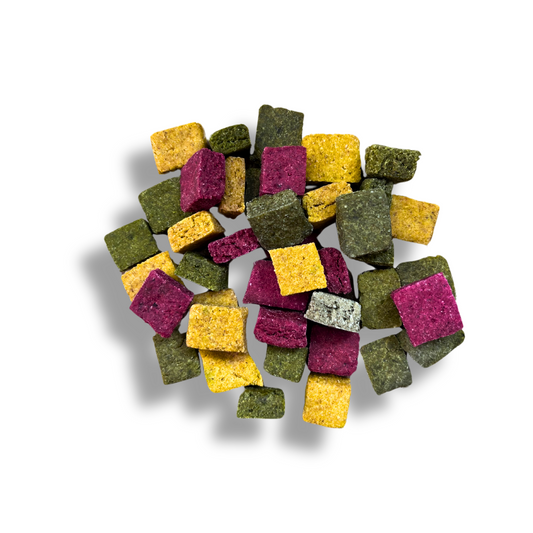 Sempliciotti - Biscottini Artigianali per Cani con Avena, Verdure e Olio di Girasole