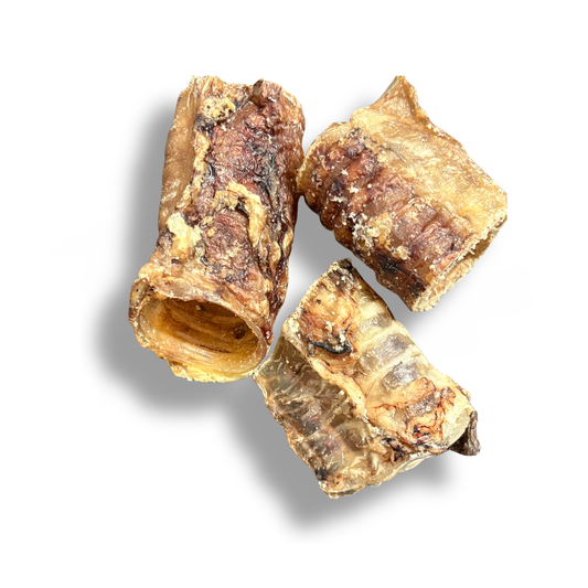 Trachea Bovina 5 cm - Masticativo Naturale Premium per Cani con Condroitina e Glucosamina