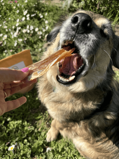 Filetti di Merluzzo Essiccati per Cani e Gatti - Snack Naturale Ricco di Omega 3 e Proteine