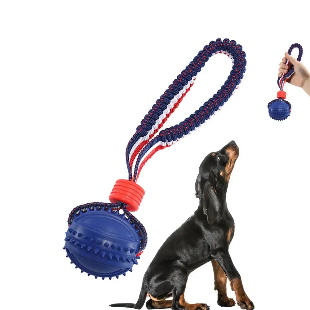Palla giocattolo con corda per cani