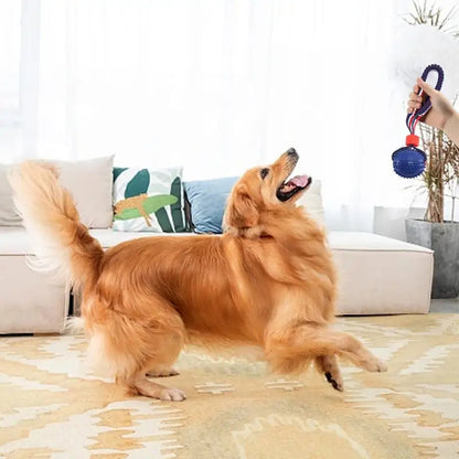 Palla giocattolo con corda per cani